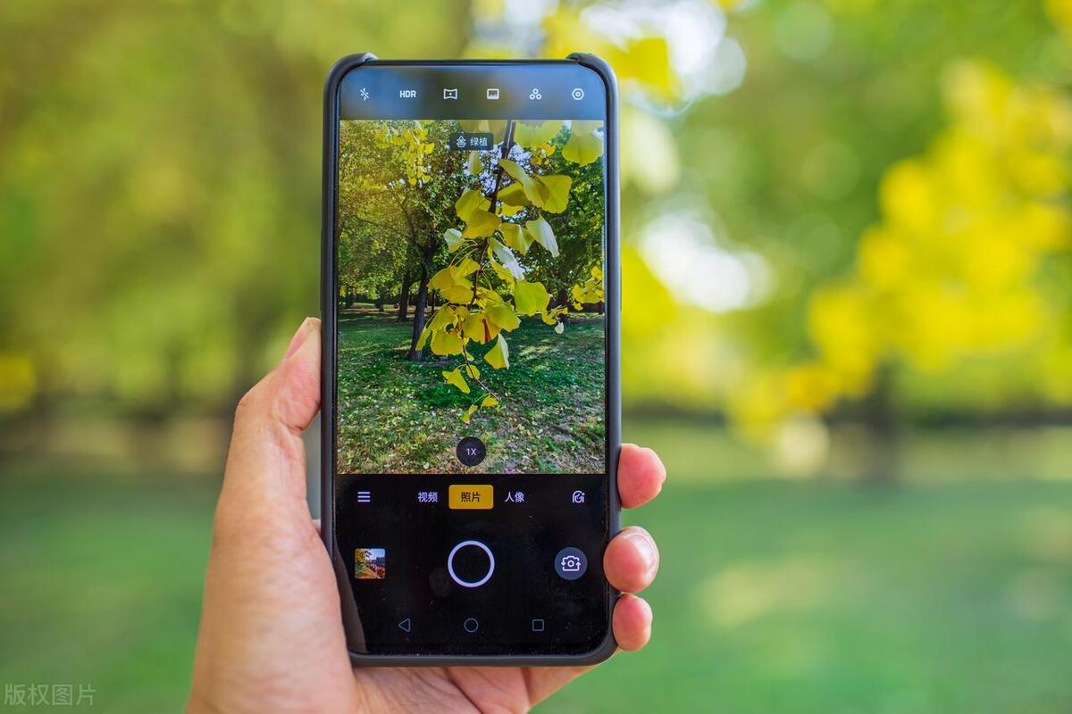 最小的手机图片编辑app,最好用的相片编辑应用