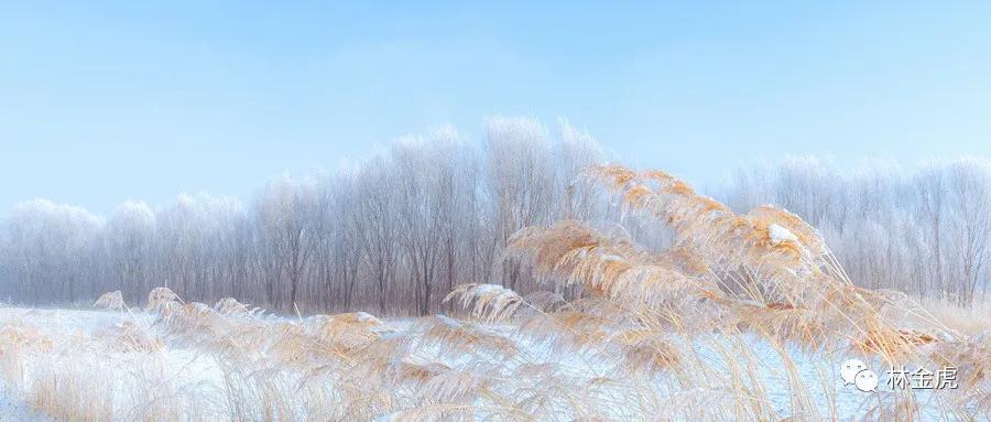 逆向思维营销思维,真正的营销人必须具备的两项定律