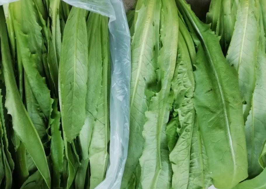 春季4种野菜常吃养肝护肝,春季养肝护肝排毒蔬菜