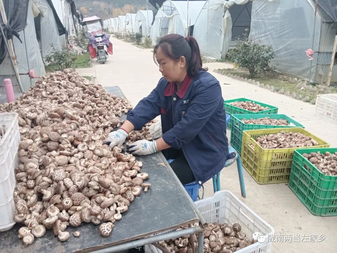 【妇女就业】在左家，有一种幸福叫“家门口”吃上“产业饭”