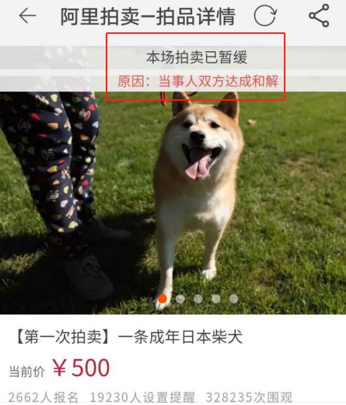 如何在闲鱼正确的捡漏,在闲鱼如何捡漏不被骗