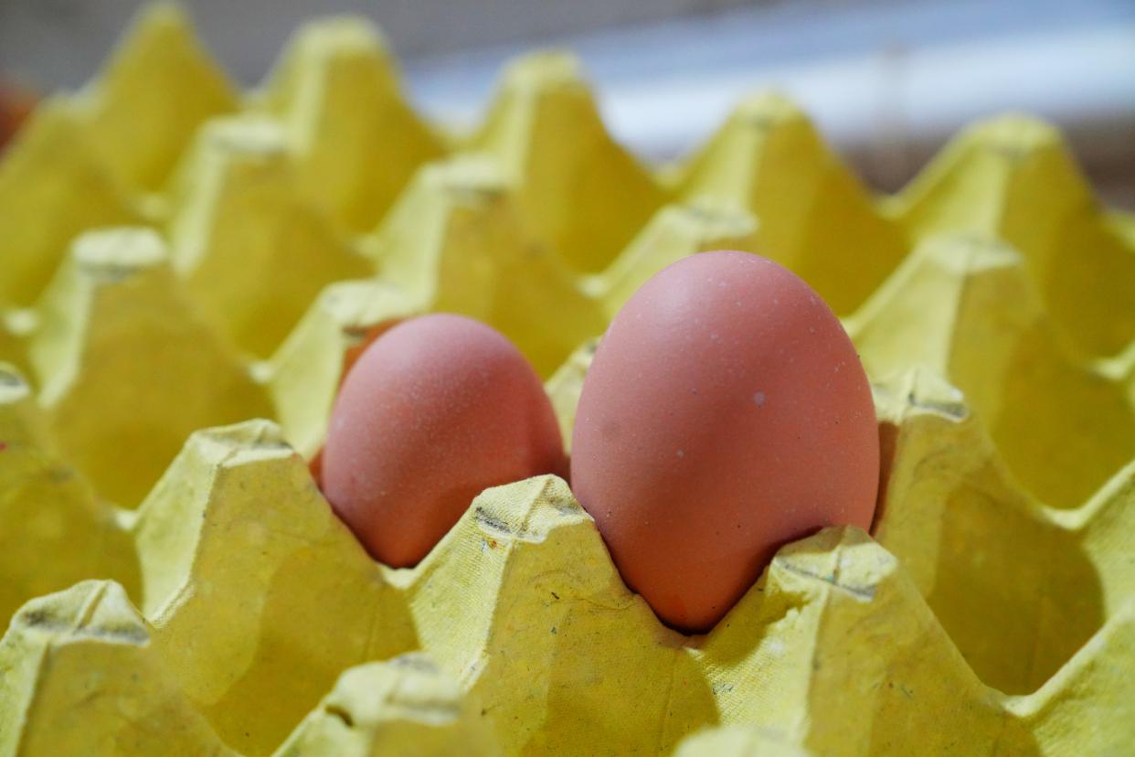 杭州自驾2小时，人间仙境，大美建德，美景美食美宿超实用攻略