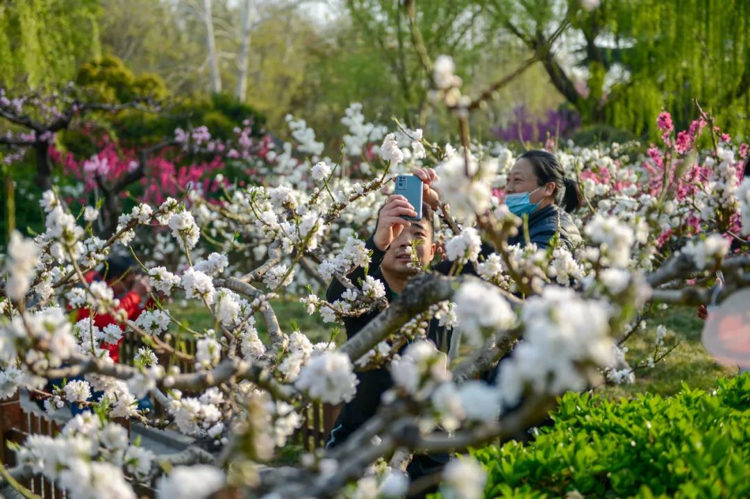 济南最火的几个网红景点打卡,济南网红打卡点景点