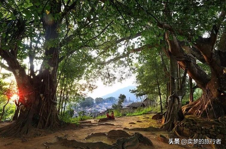 临沧旅游景点投票,临沧旅游景点分布图