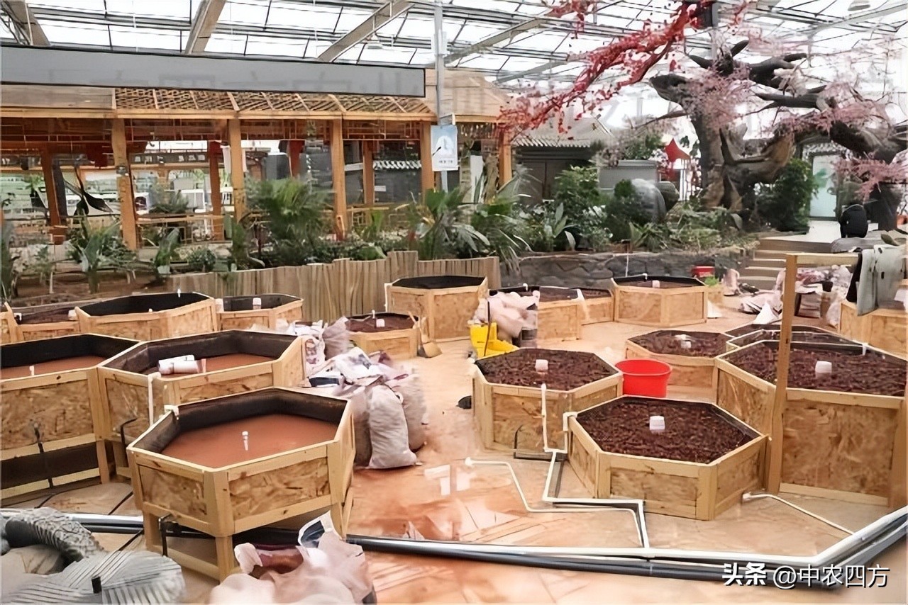 现代农业助推传统农业转型升级,农业新业态新模式