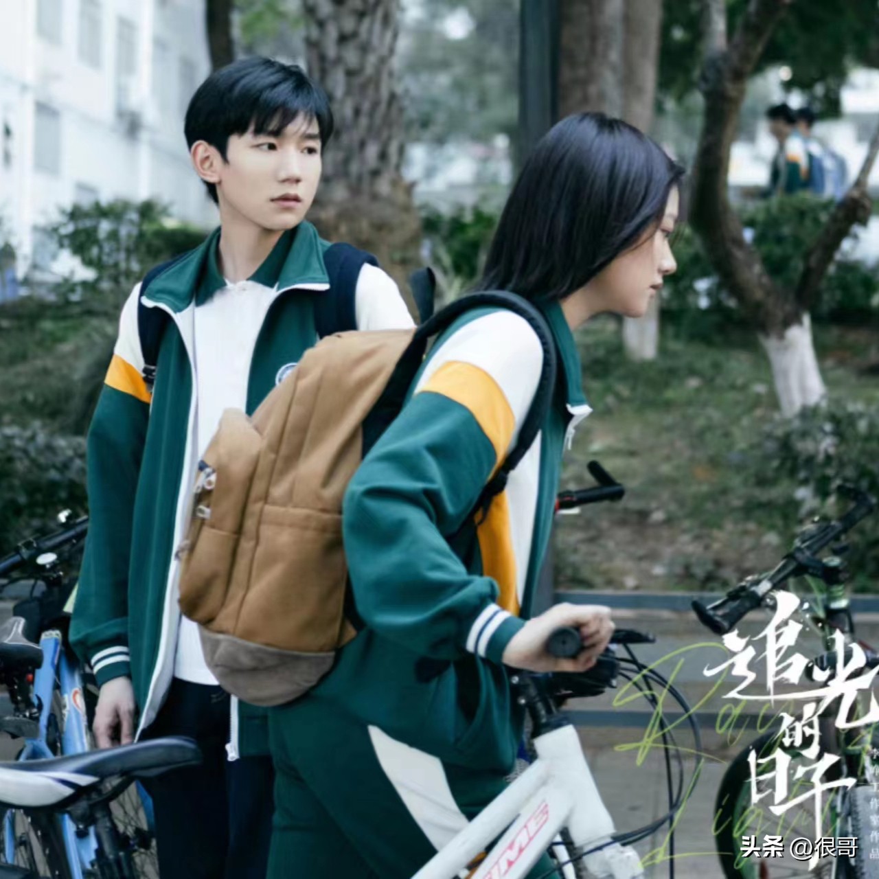 追光的日子播到几集了,追光的日子播了几集