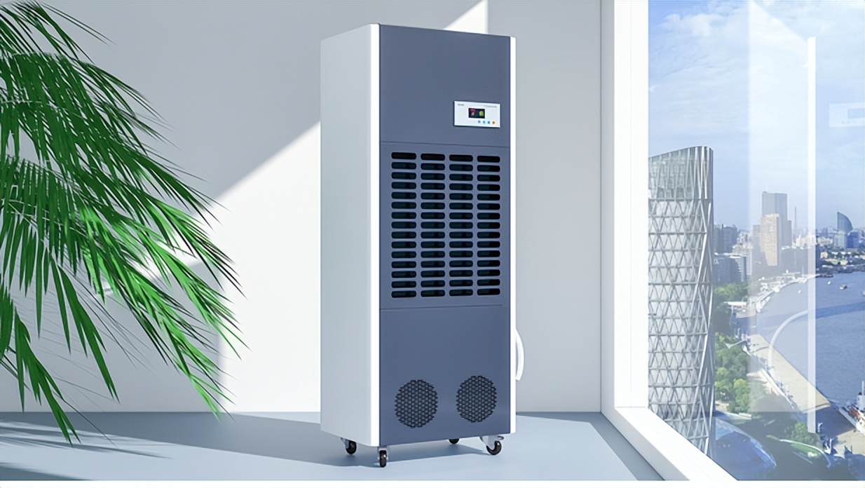 床上螨虫怕的不是“暴晒”？教你卧室放点“它”，螨虫消失了