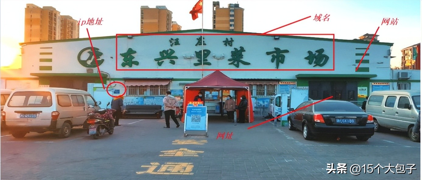 什么是域名网站,该地址为ip地址请使用域名啥意思