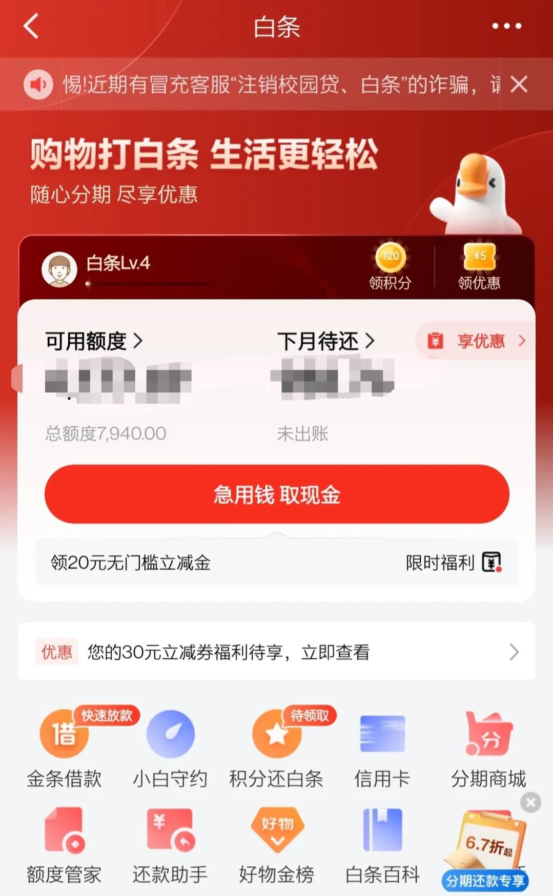 京东白条纳入监管了吗,京东白条有风险暂停使用