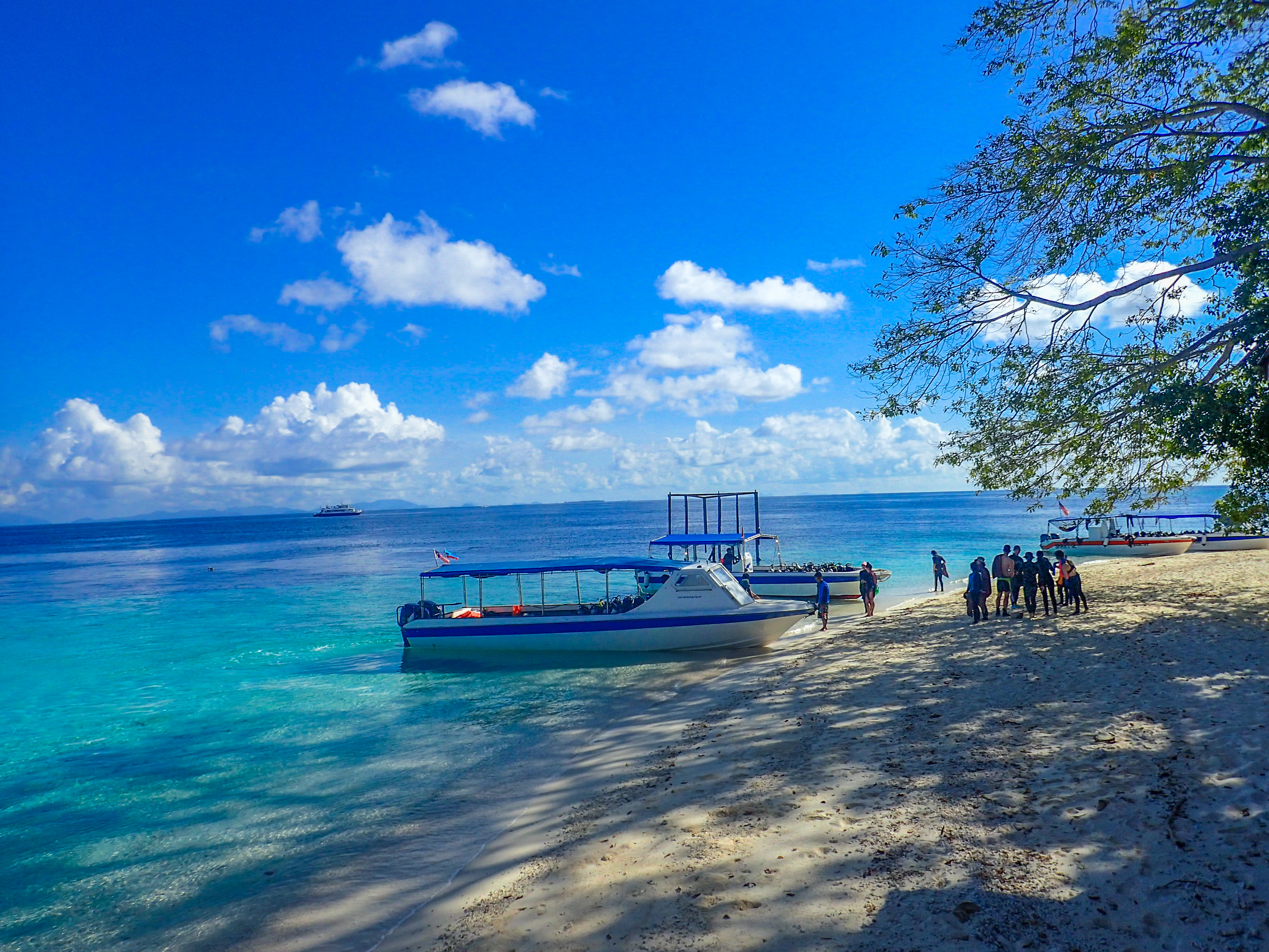 马来西亚仙本那海底,潜水马来西亚仙本那