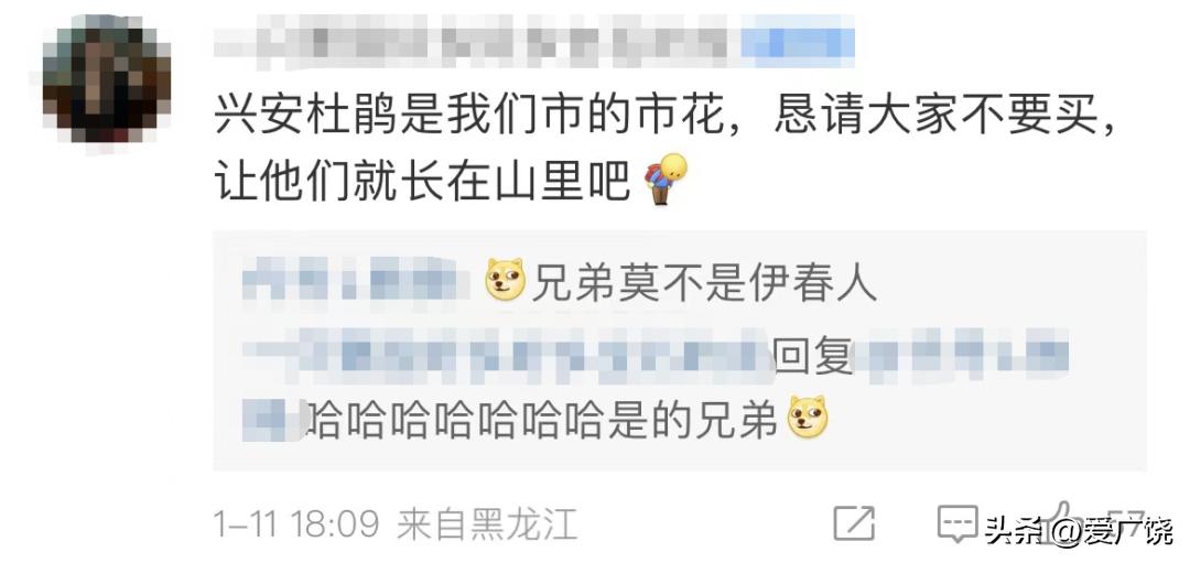 不要买！不要买！不要买！有毒