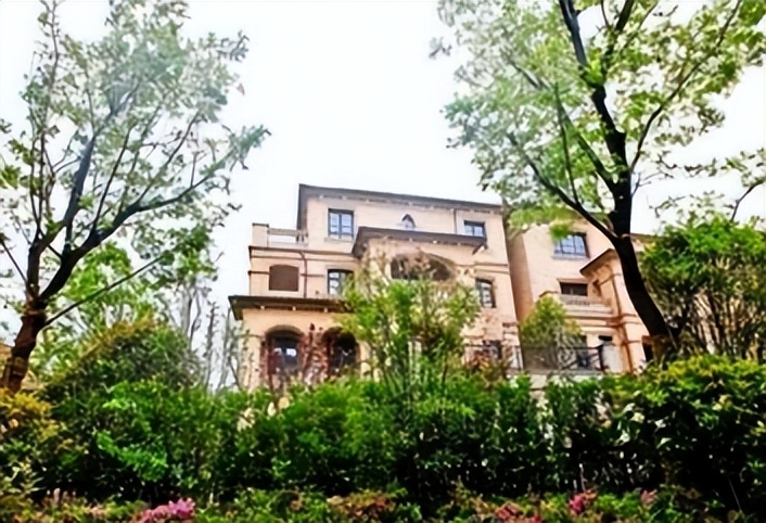 资本弃子唐嫣：获罗晋宠爱用四万手机壳，穿假货得罪苏芒遭封杀