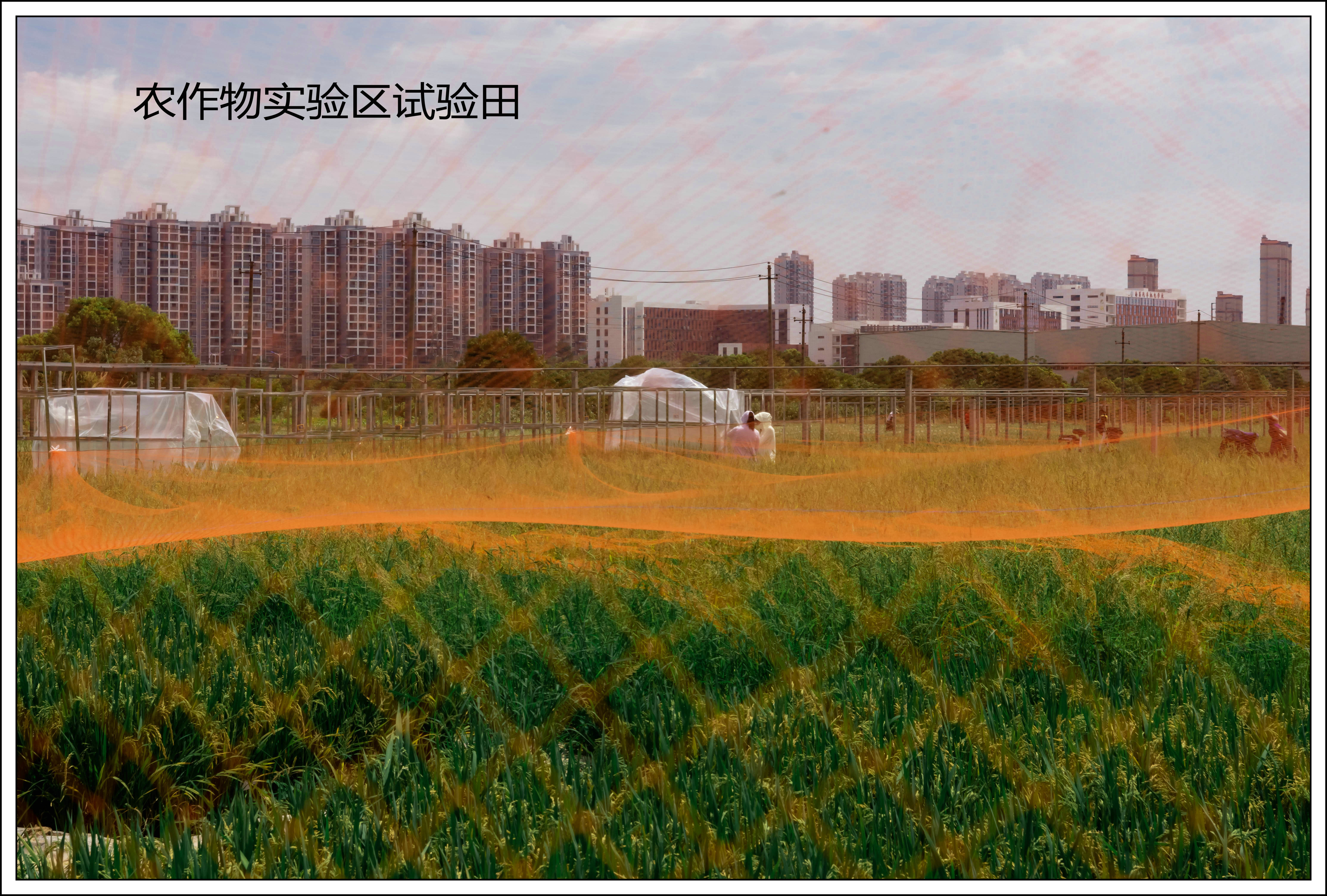 江西农业大学南区排名,江西农业大学探校