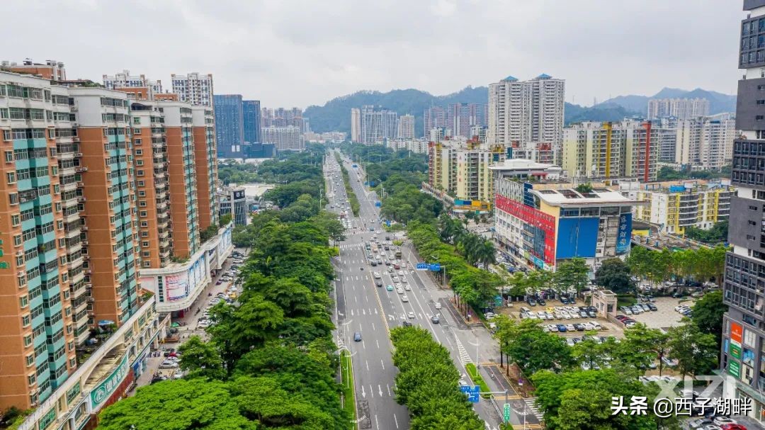 惠州市哪个农贸市场人流量最大,惠州最热闹的农贸市场是哪个