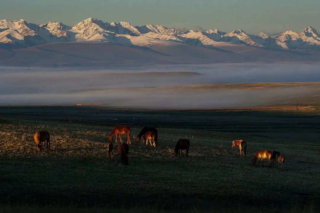 阿坝州最好的一个县是哪儿,阿坝州十三县排名