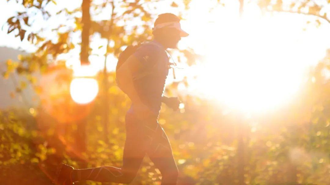 35句励志经典诗词愿你选为座右铭,正能量诗词短句经典