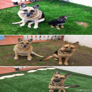 老廊坊老照片大全,河北廊坊南营老照片