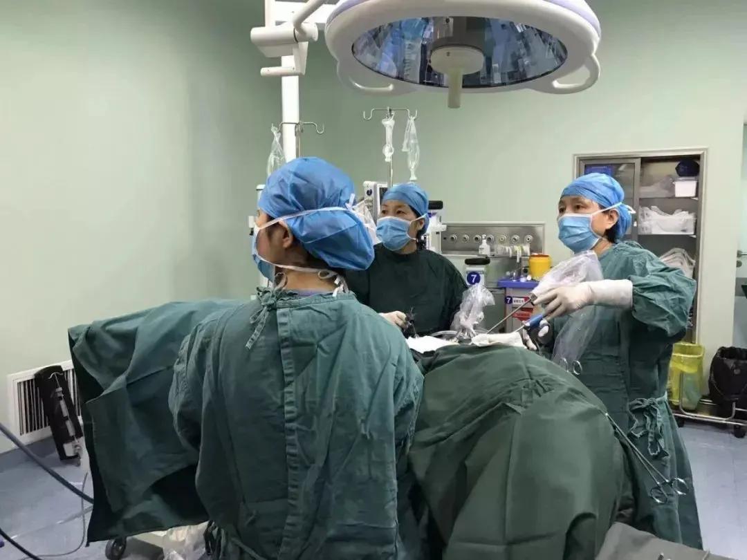 为患者奔跑26年的咸阳医生——省“三八红旗手”咸阳市第一人民医院王蕾