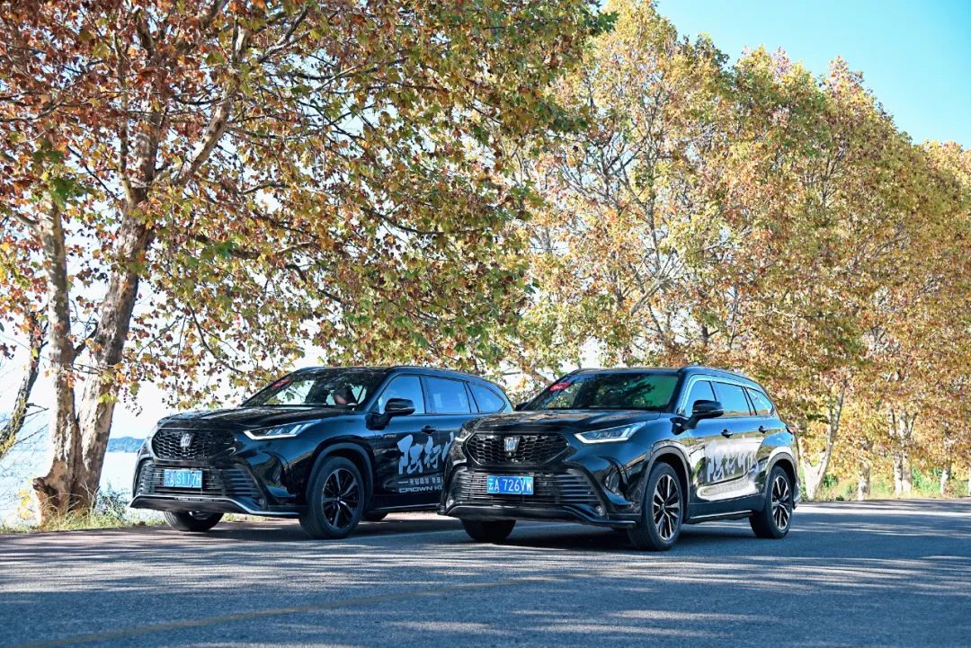 世界杯十大助攻最多排名,世界杯最佳助攻排名