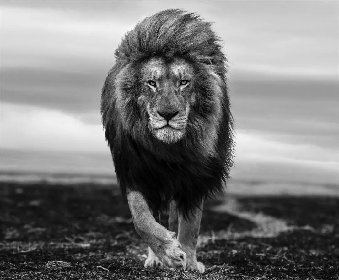 摄影界最著名的奖,摄影界的最高奖项叫什么