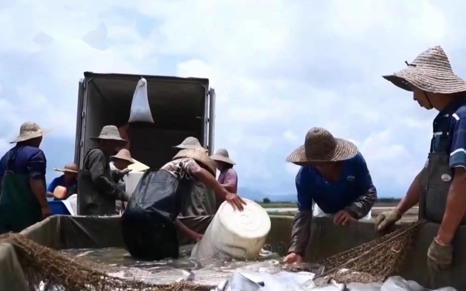 广东一富家女，接手父亲生意，养殖鳗鱼1年，靠4大招年入10亿