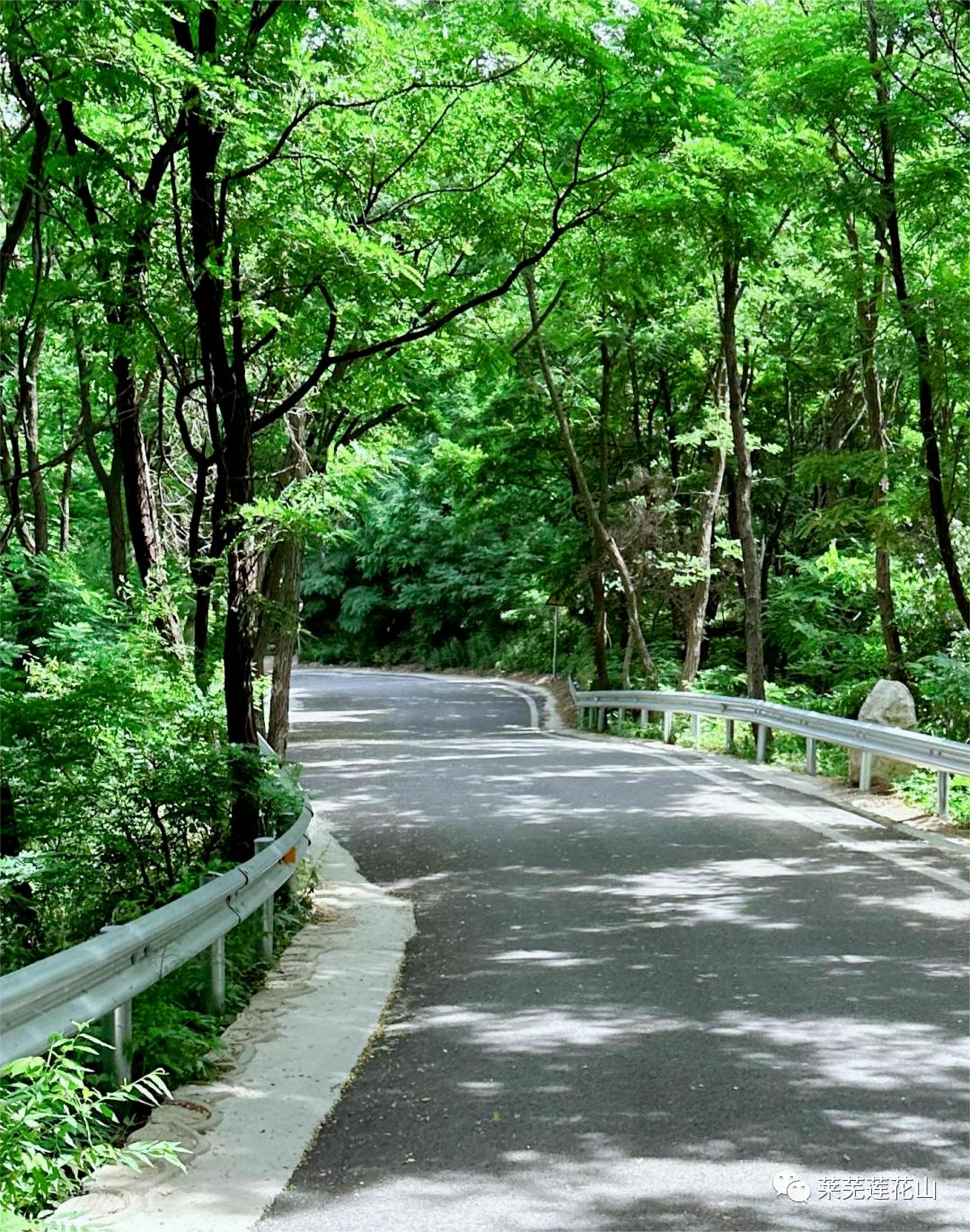 莱芜景区免票政策有哪些,莱芜莲花山景区优惠政策