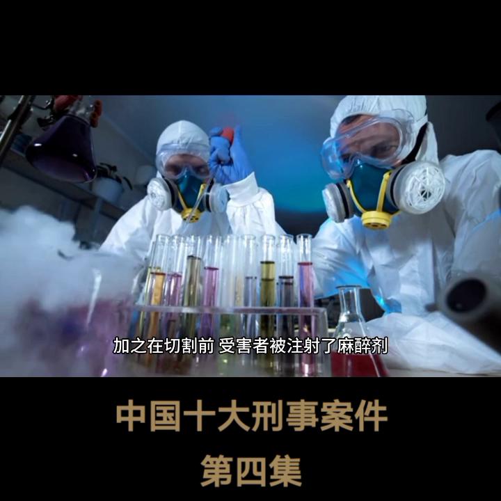 新中国十大刑事案件纪实全集,中国十大刑事案件电影