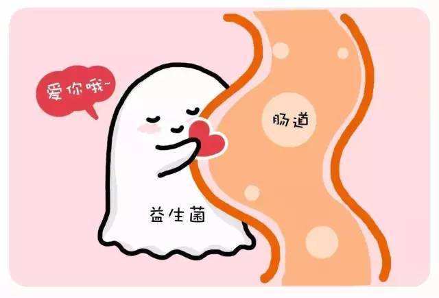 大便憋回去的危害,大便憋回去有危害吗