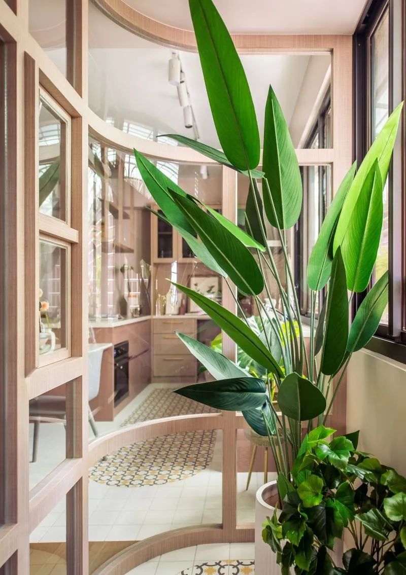 夏季家装ins风绿植推介排行,十大客厅耐阴绿植冬天不死的植物