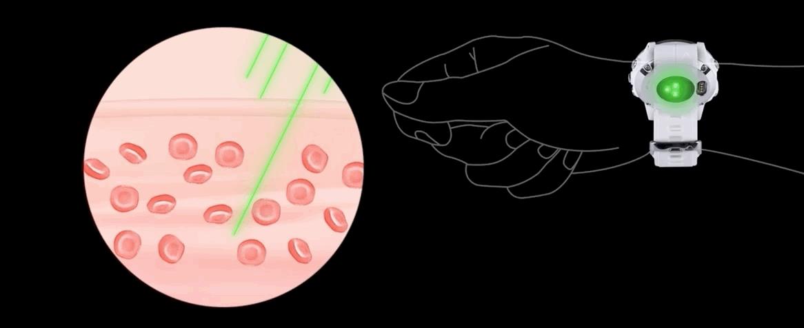 佳明fenix6xpro心率不准,穿戴设备是怎么监测心率的