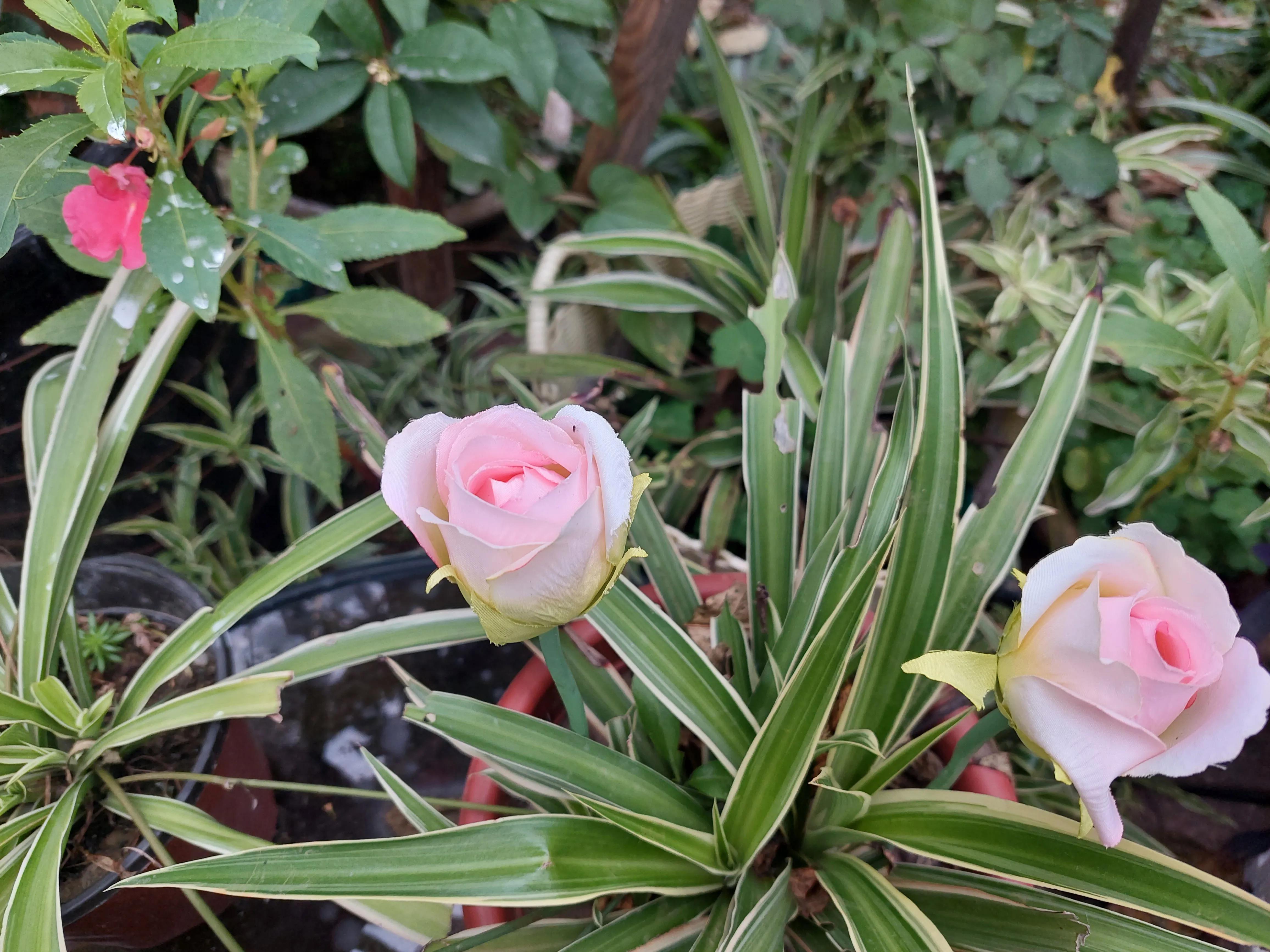 青春记忆足球,青春里的足球记忆