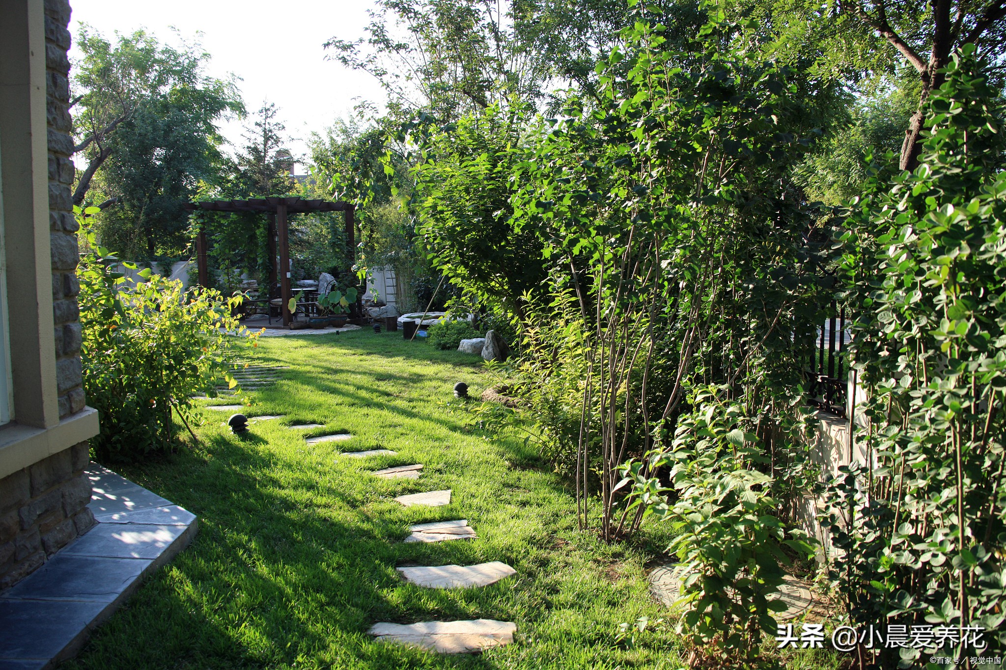 田地里的草不用除草剂怎么除,如何不用除草剂清除杂草