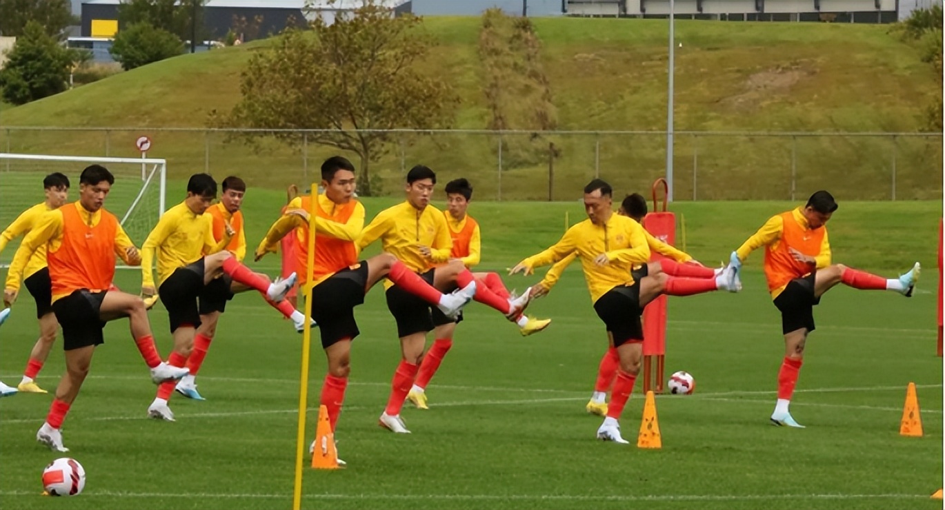 扬科维奇带队赢过球吗,扬科维奇足球生涯集锦