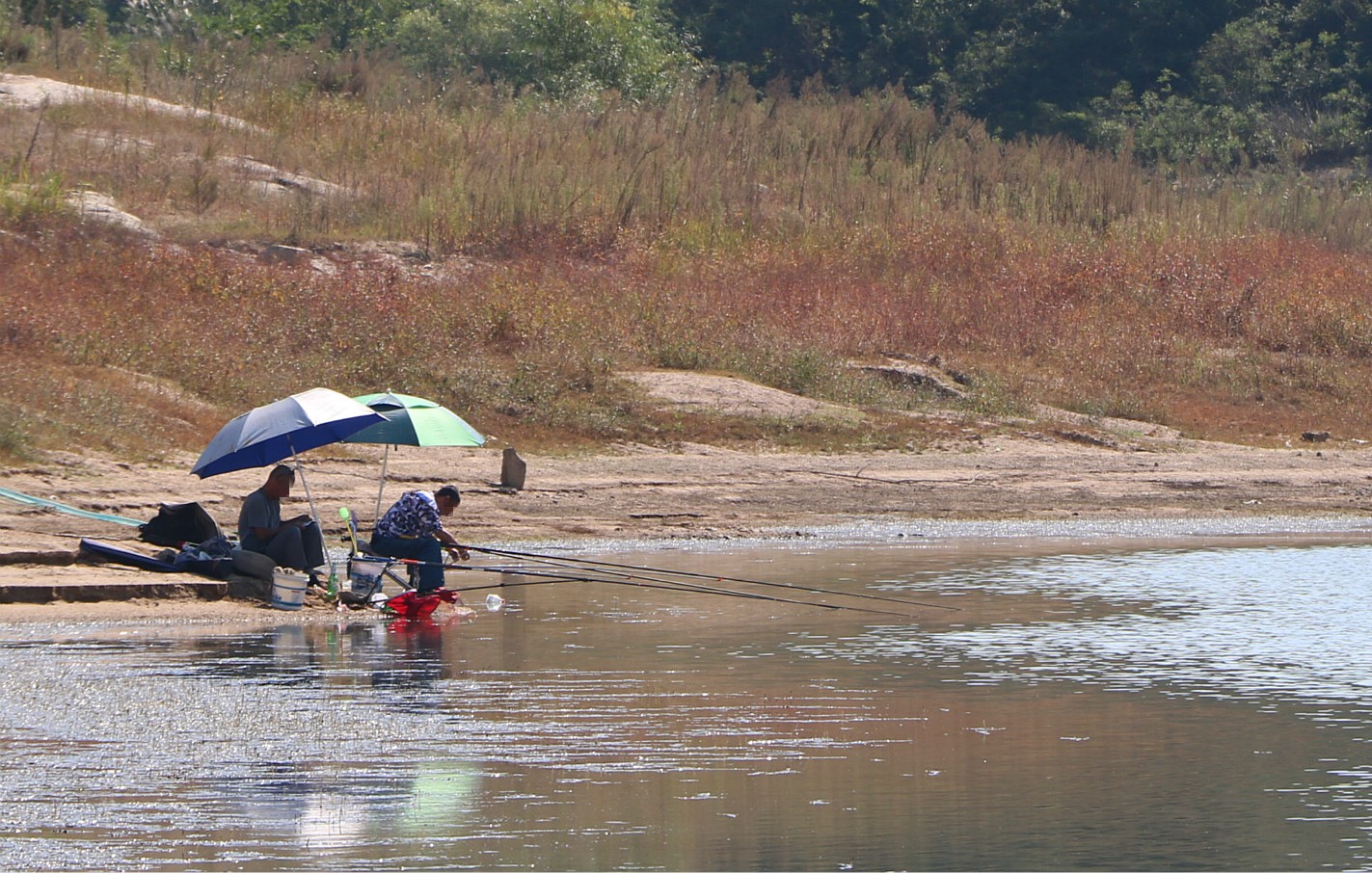 秋季的鱼,秋天的鱼为什么难钓