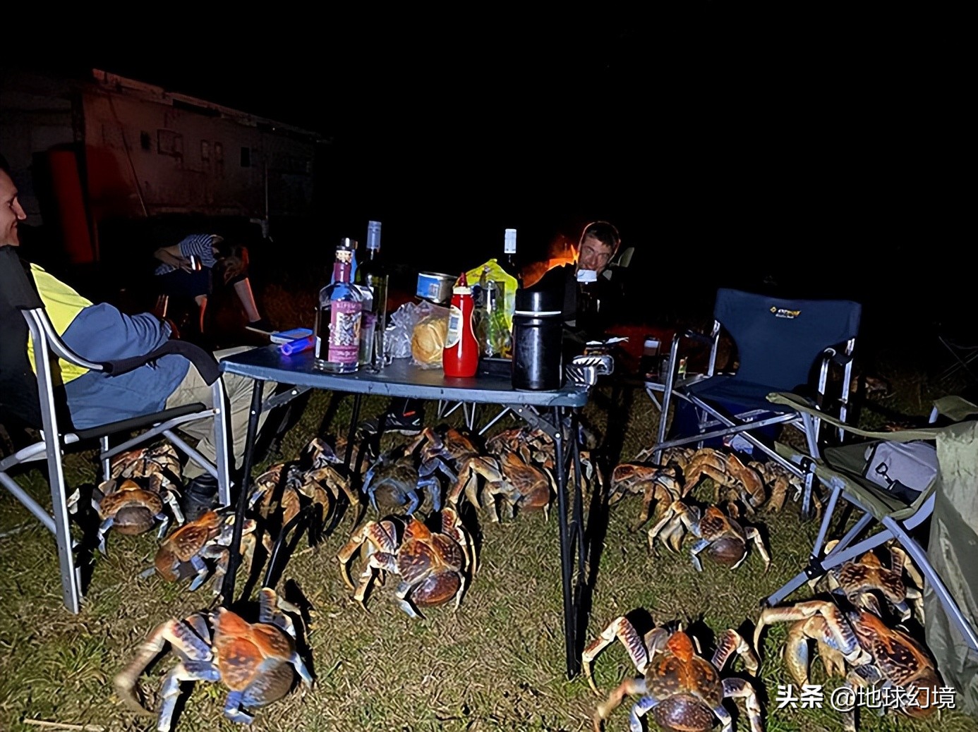 十大深海神秘巨型生物图片,天空拍到的像水母生物图
