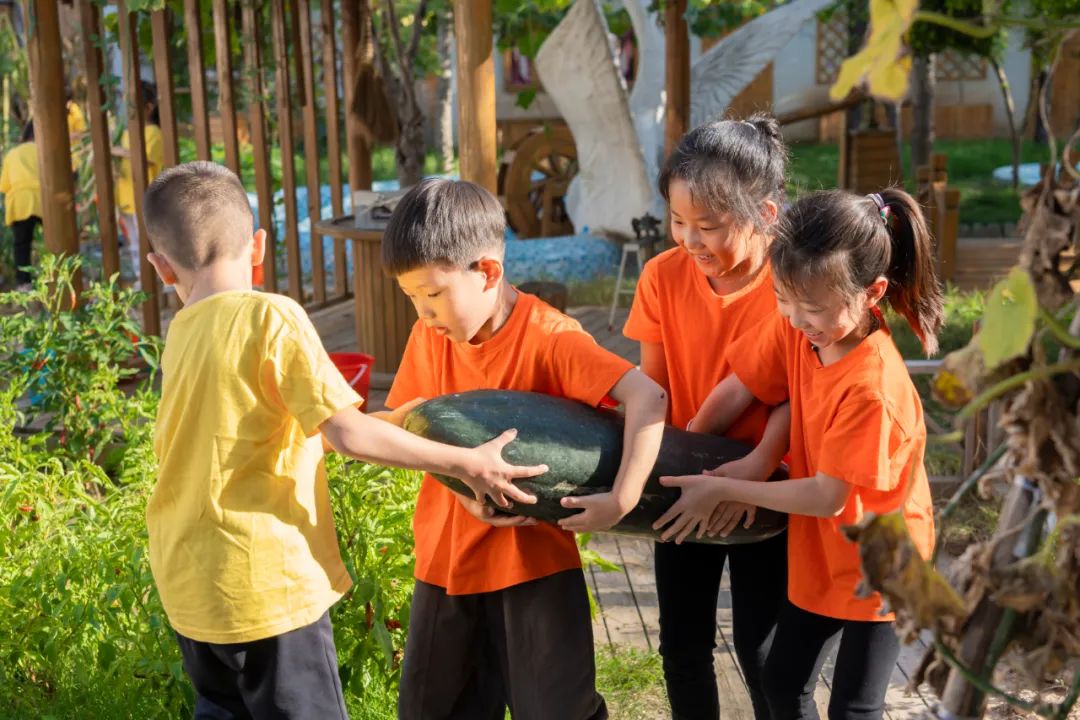 秋光如岁邂逅一场欢喜——临猗县直一园开学季