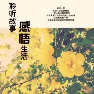 每日一悟精辟,每日一悟浮生不过梦一场