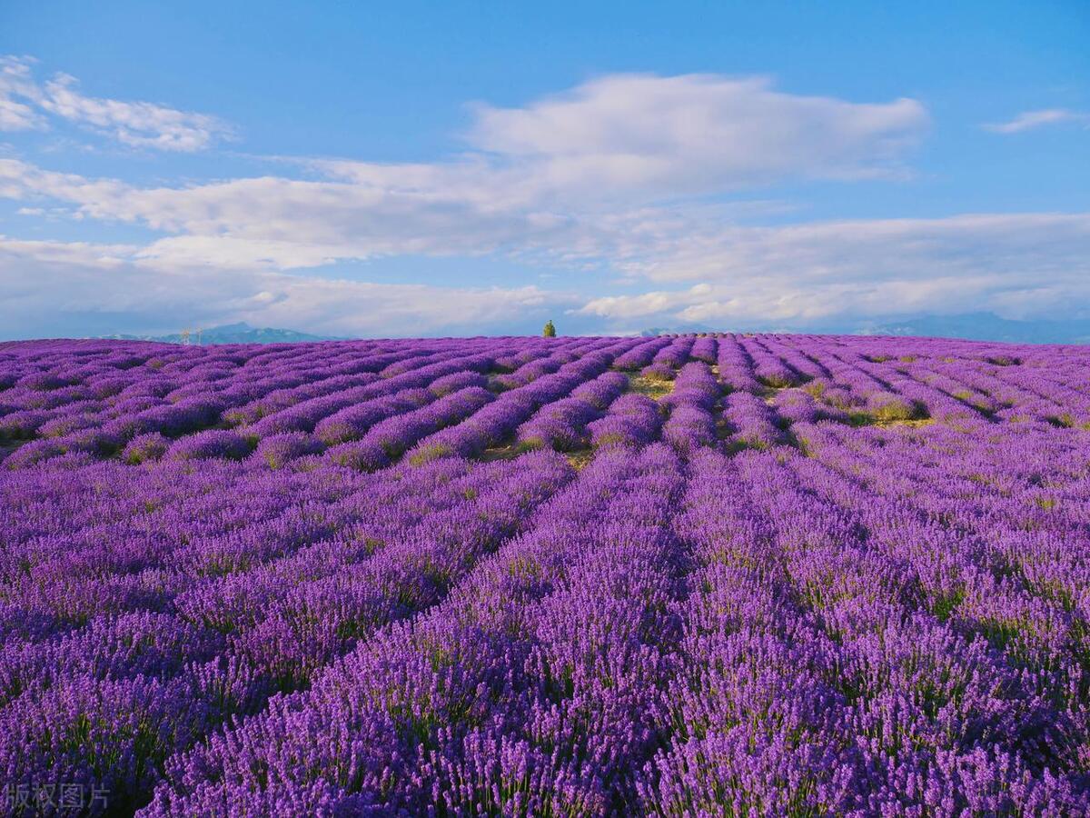 炎热的夏天适合去的地方,酷暑的夏天最应该去的三个地方