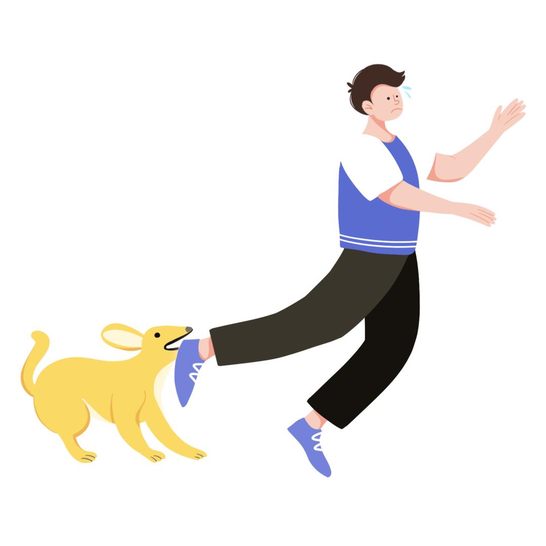 经常打骂幼犬会怎么样,经常打骂狗狗会离家出走吗