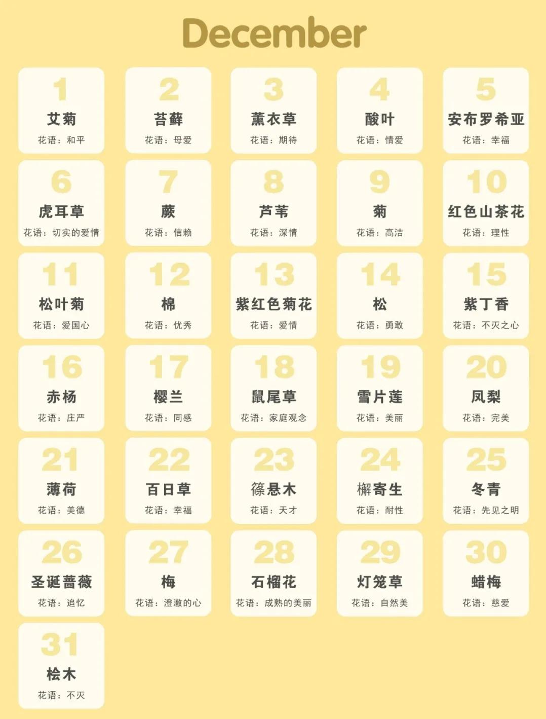 365生日花语大全,关于生日的花的花语