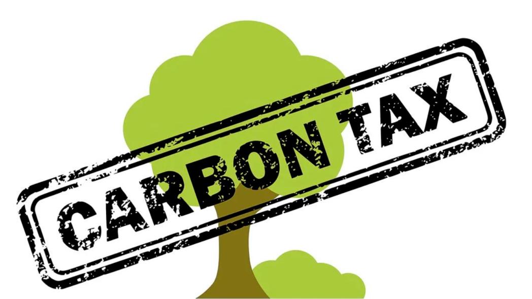 碳关税的发展前景,碳关税正式来袭对这五个行业影响