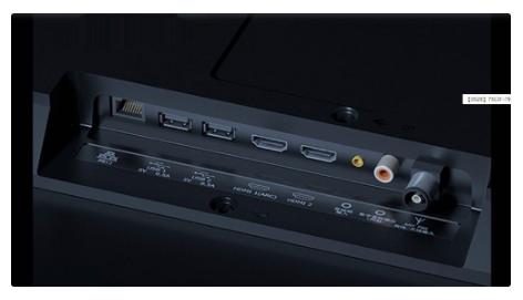 audio接口是插什么的,大家知道功放上的echo是什么