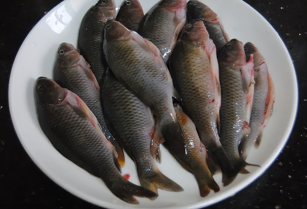 稻田养鱼一年收益多少,稻田养鱼怎么养效益高