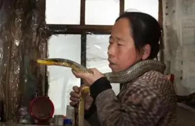 1995年，吉林一女子和蛇同床12年后毫发无伤，甚至还能听懂她的话