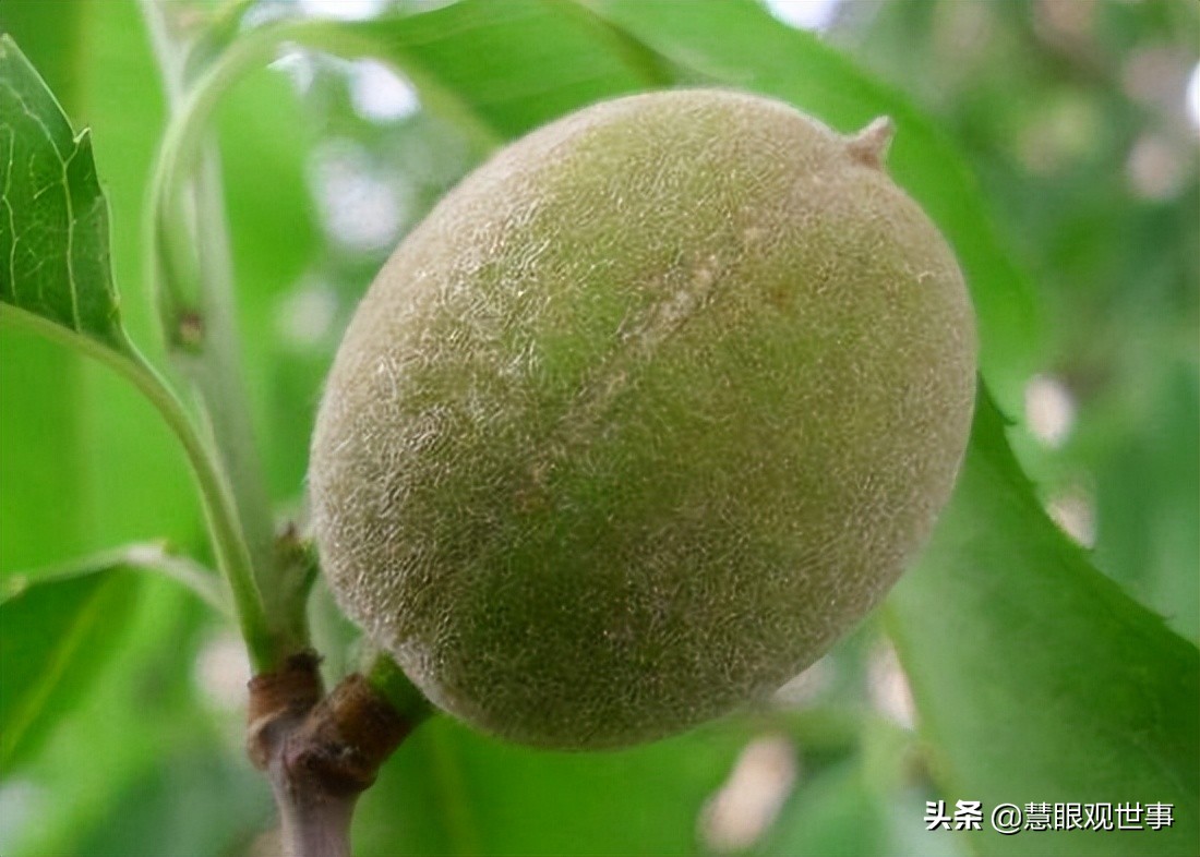 真正的山西孝义土话方言,山西孝义土话大全集