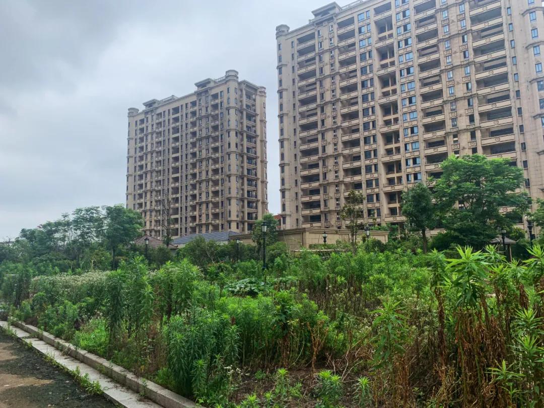 名头唬人!盘点江阴的“山寨系”开发商