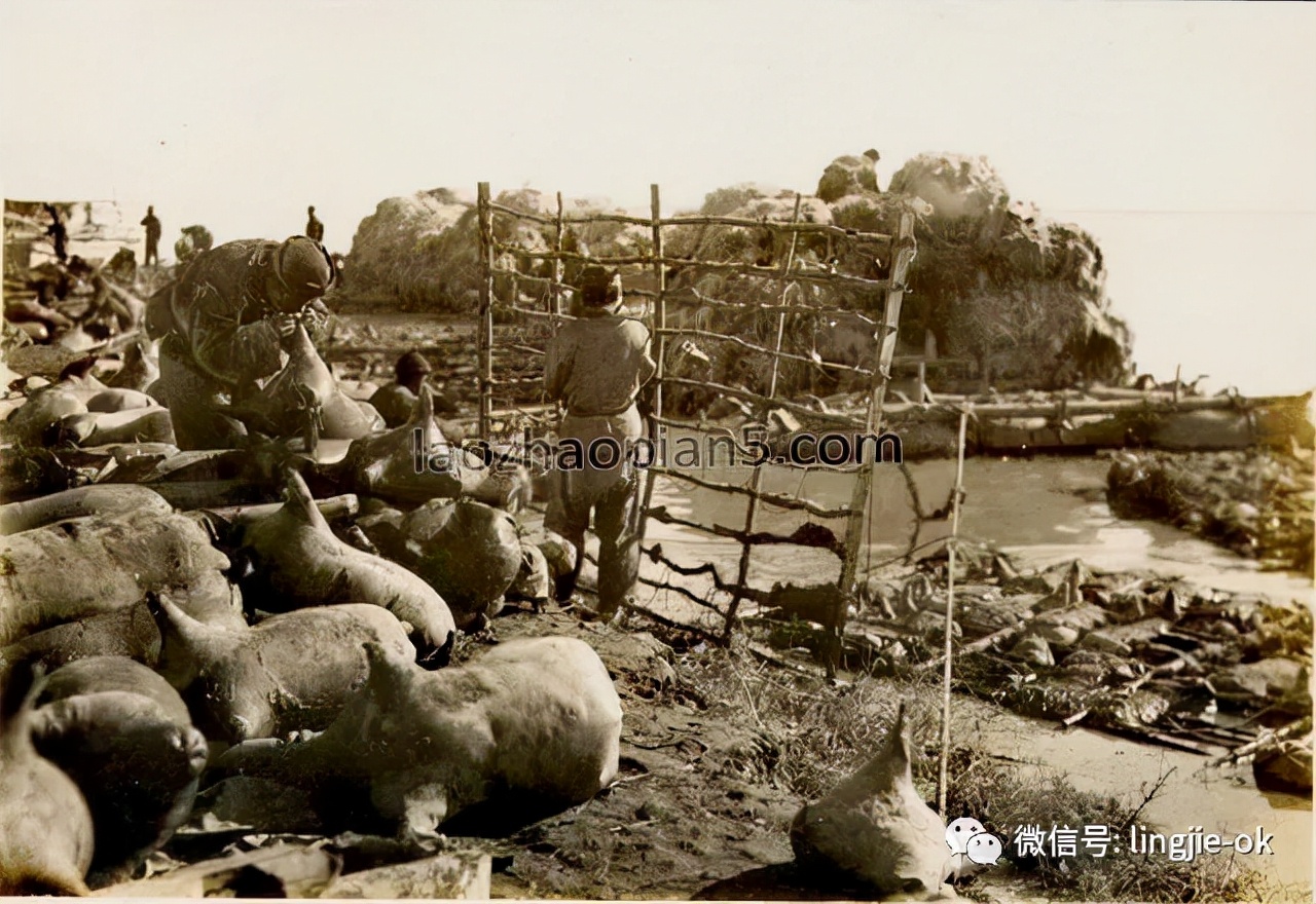 包头历史,包头的历史渊源附珍贵老照片