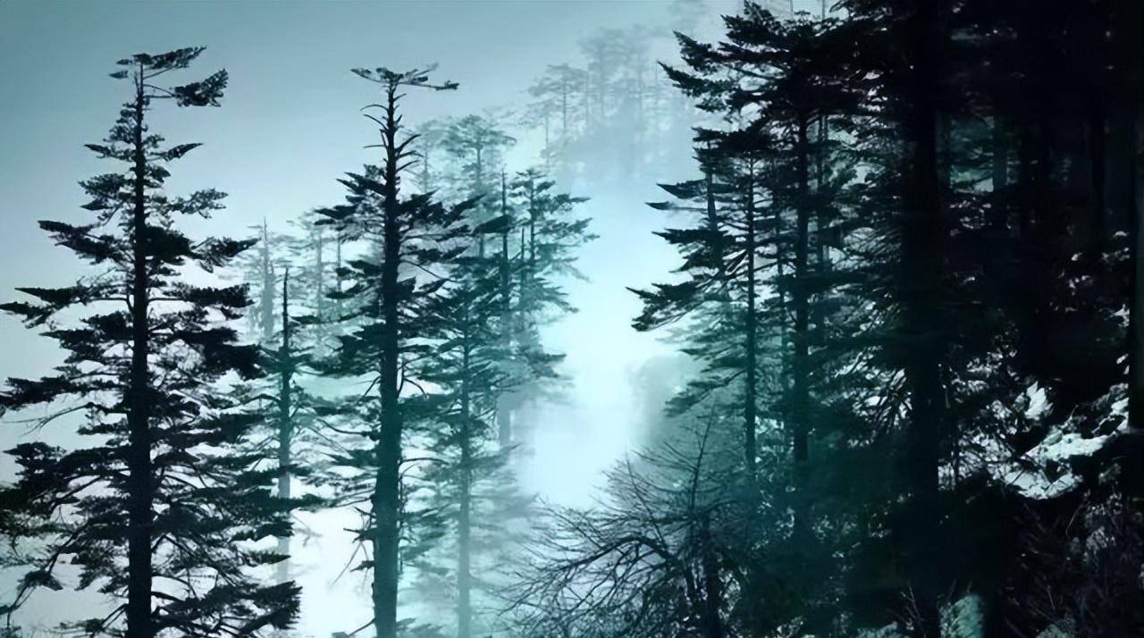 洪雅一个生你养你的地方,洪雅一个养你的地方