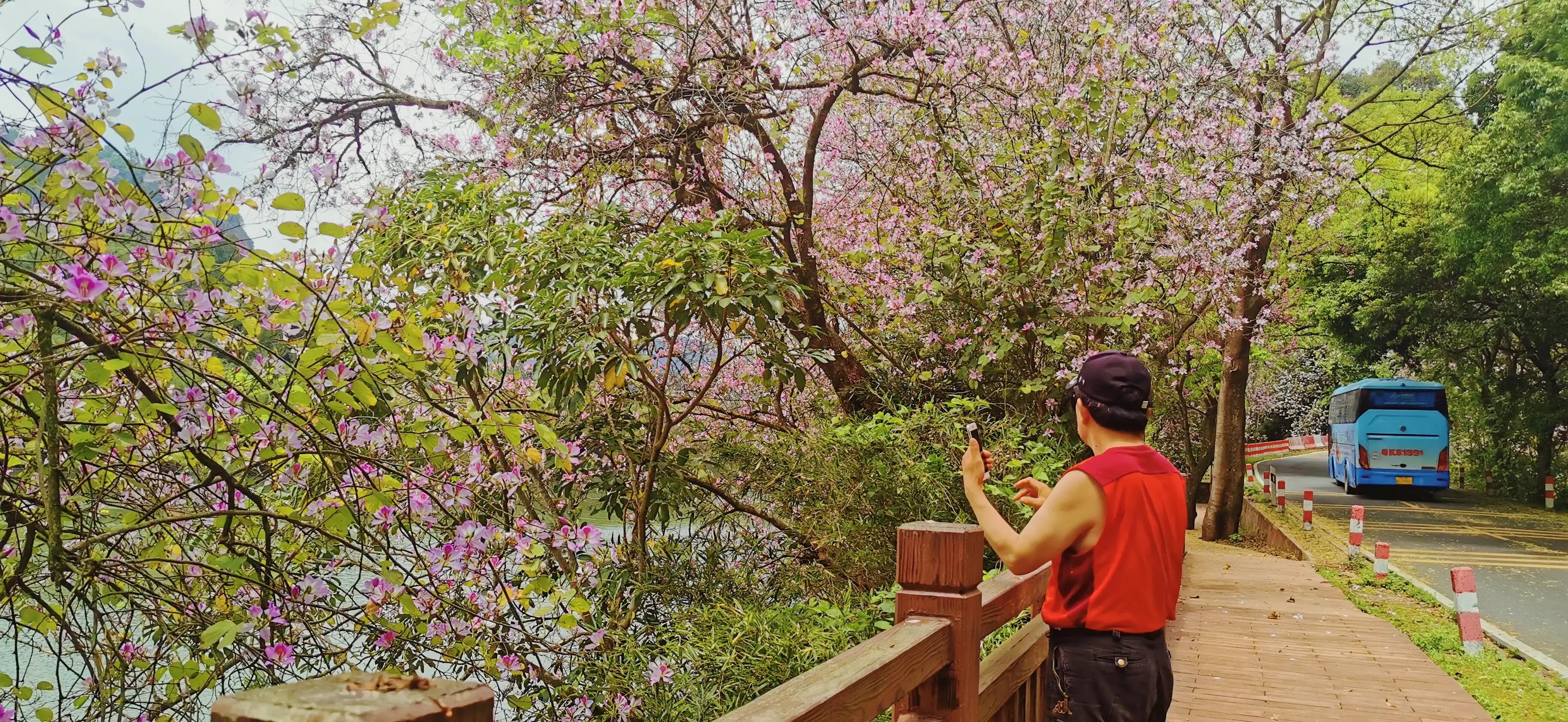 两人自驾装备,两人一车带什么装备