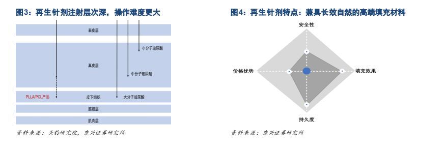 轻医美将成医美市场发展趋势,再生类医美行业解析